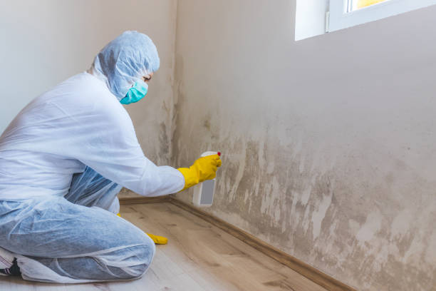 Licensed Commercial Mold Remediation service in Paoli, PA - WQB Mold Removal