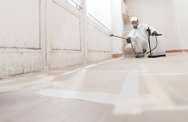 Trusted Commercial Mold Remediation service in Paoli, PA - WQB Mold Removal