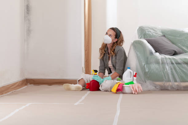 Reliable Commercial Mold Remediation contractor in Paoli, PA by WQB Mold Removal
